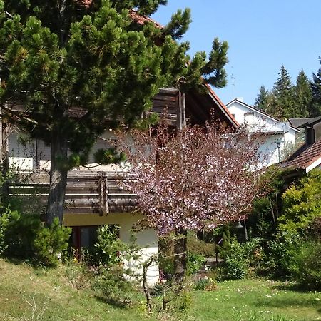Ferienwohnung Heidi Batzlen Daisendorf Exteriér fotografie